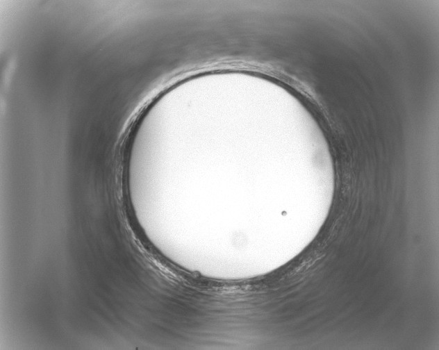 X0000051911504200507222054