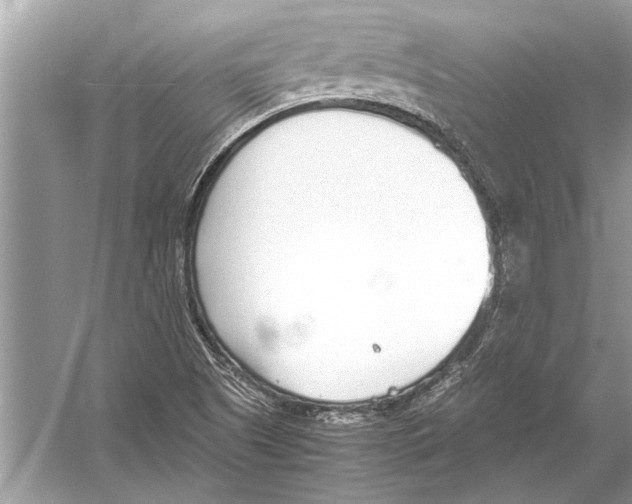 X0000051911505200507222054