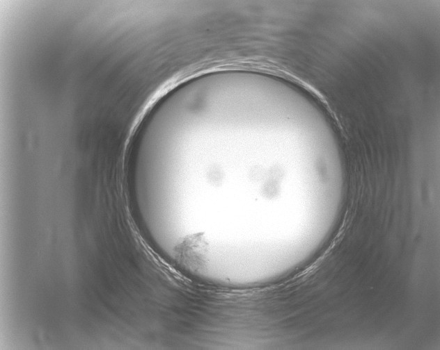 X0000051911506200507222054