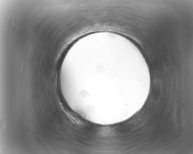 X0000051911507200507222054