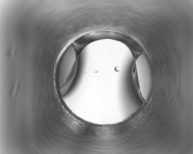 X0000051911508200507222054