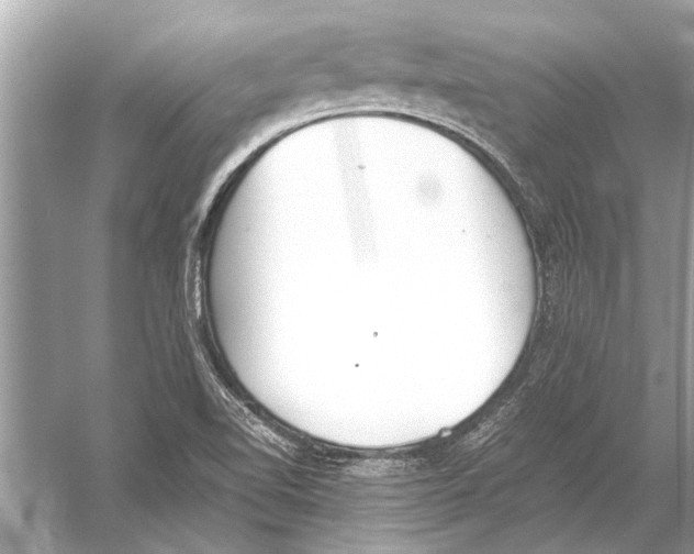 X0000051911510200507222054