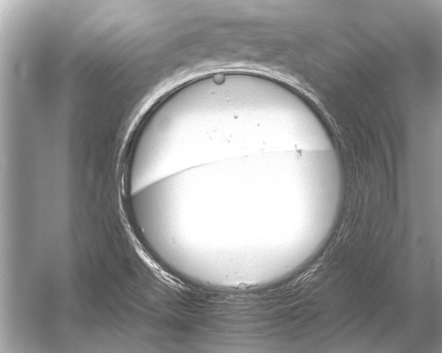 X0000051911511200507222054