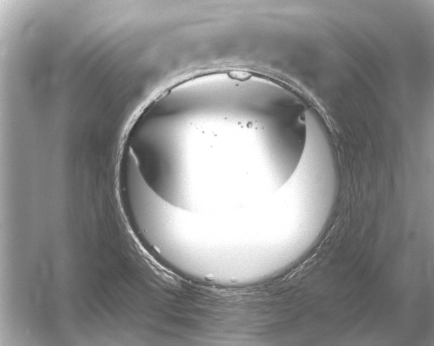 X0000051911512200507222054