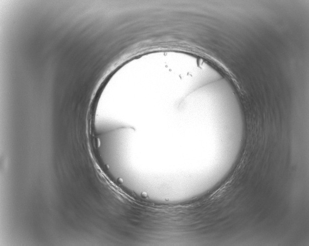 X0000051911514200507222054