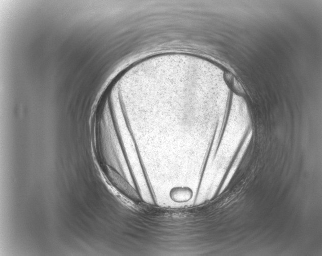 X0000051911515200507222054