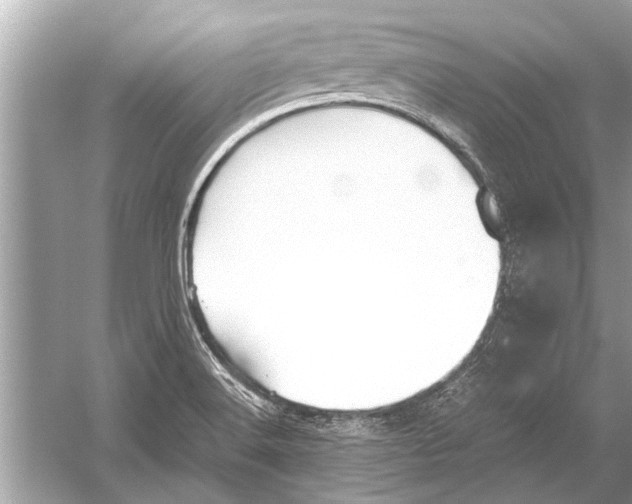 X0000051911516200507222055