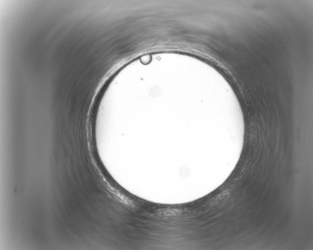 X0000051911517200507222055