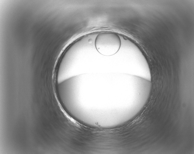 X0000051911519200507222055