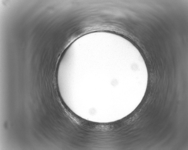 X0000051911521200507222055