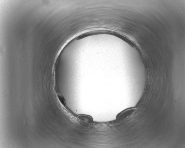 X0000051911524200507222055