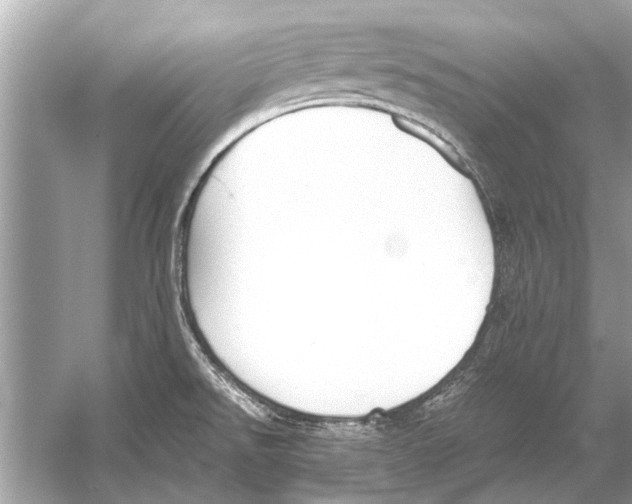 X0000051911526200507222055