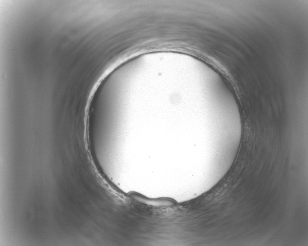 X0000051911528200507222055