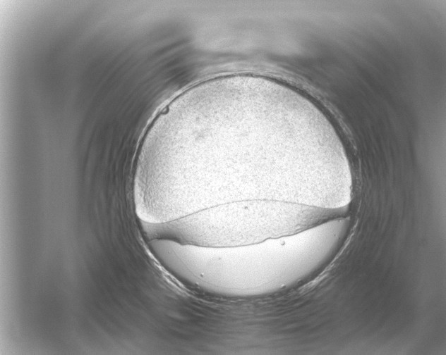 X0000051911529200507222055