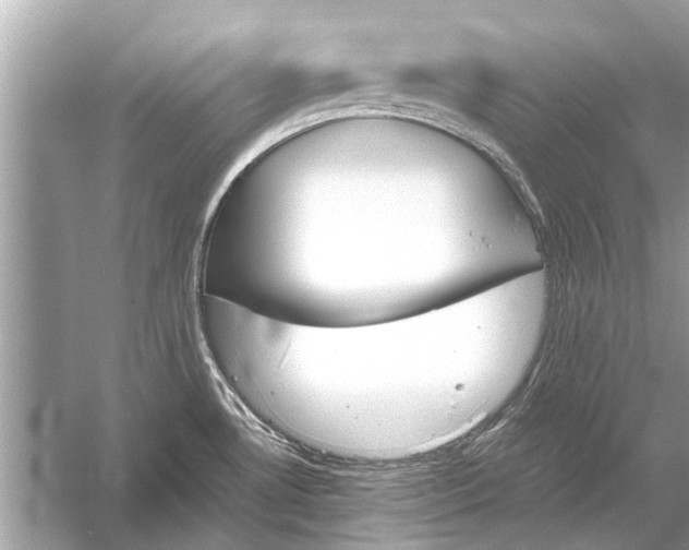 X0000051911530200507222055