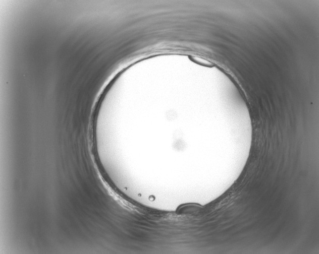 X0000051911531200507222055