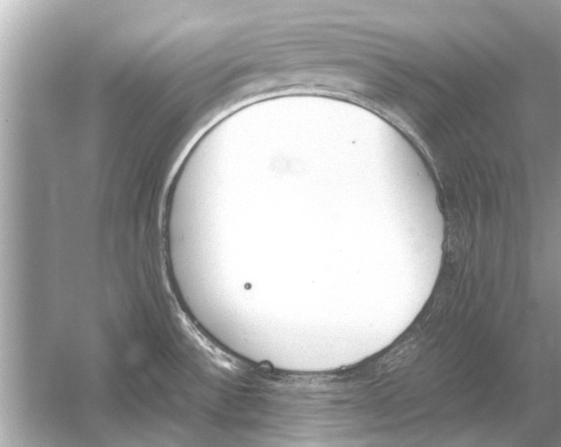 X0000051911532200507222055