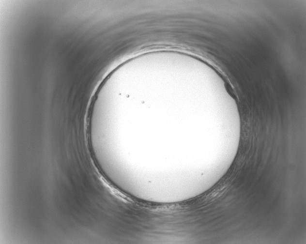 X0000051911535200507222055