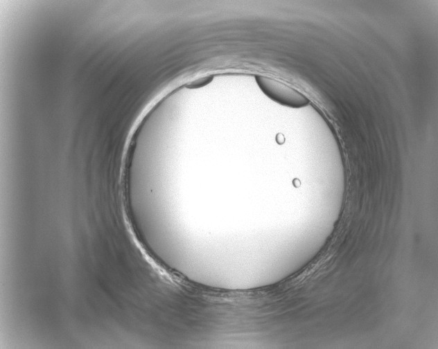 X0000051911536200507222055