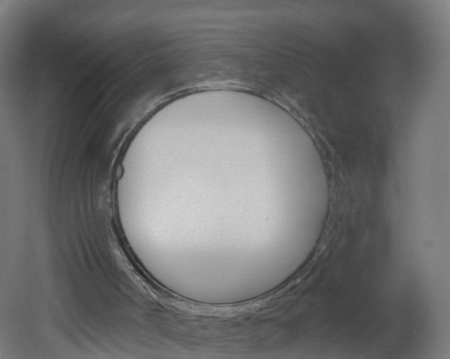 X0000051920002200506241141