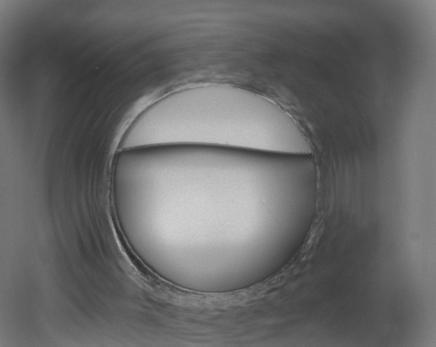 X0000051920003200506241141