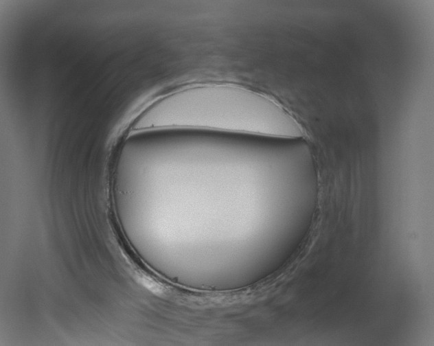 X0000051920005200506241141