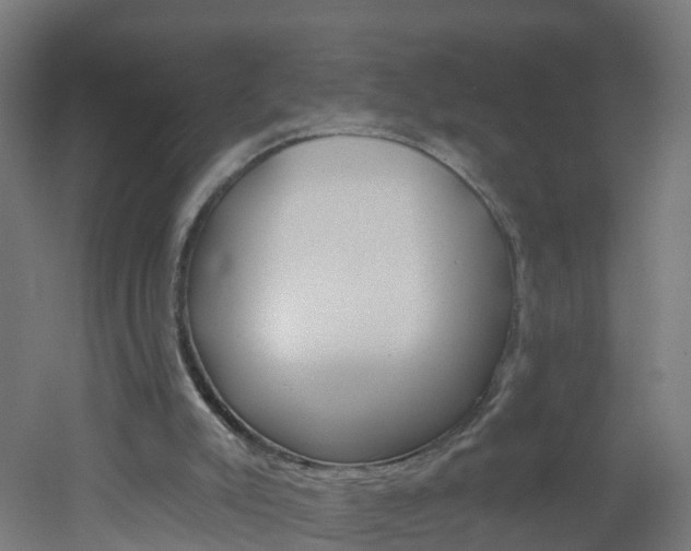 X0000051920007200506241141