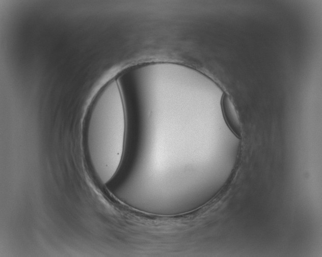 X0000051920008200506241141