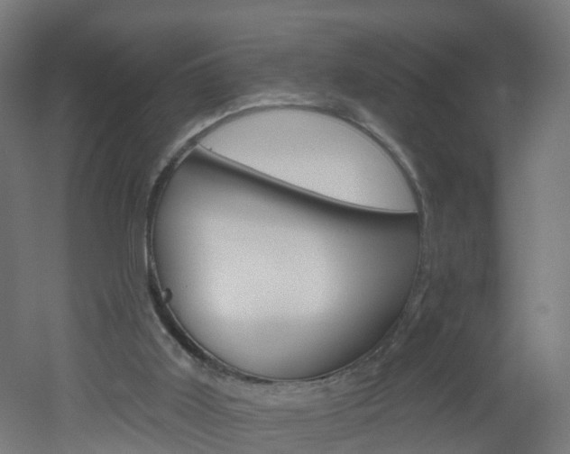 X0000051920011200506241141
