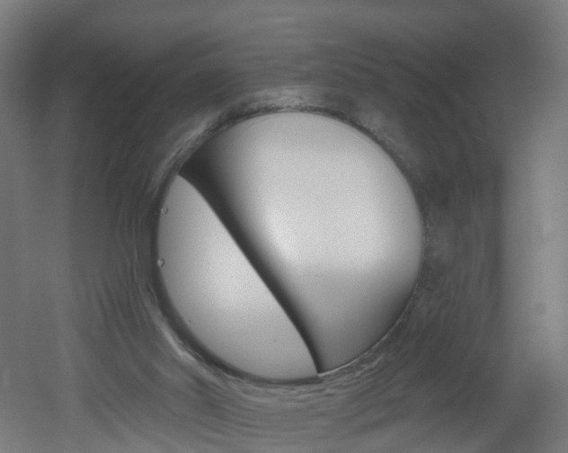 X0000051920014200506241141