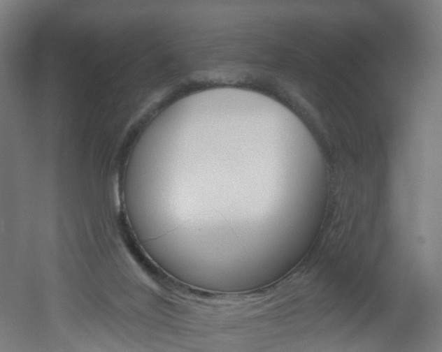 X0000051920020200506241141