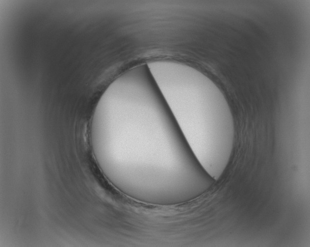 X0000051920024200506241141