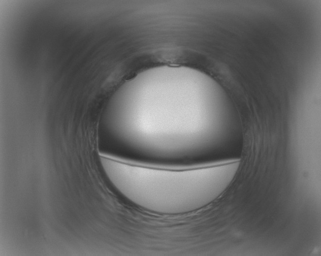 X0000051920031200506241141