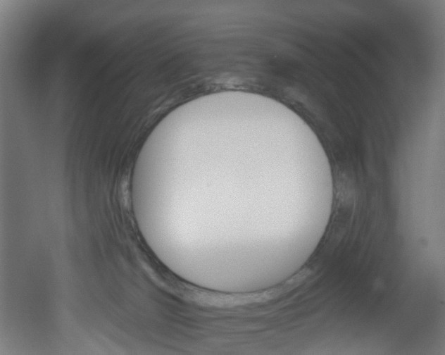 X0000051920036200506241141