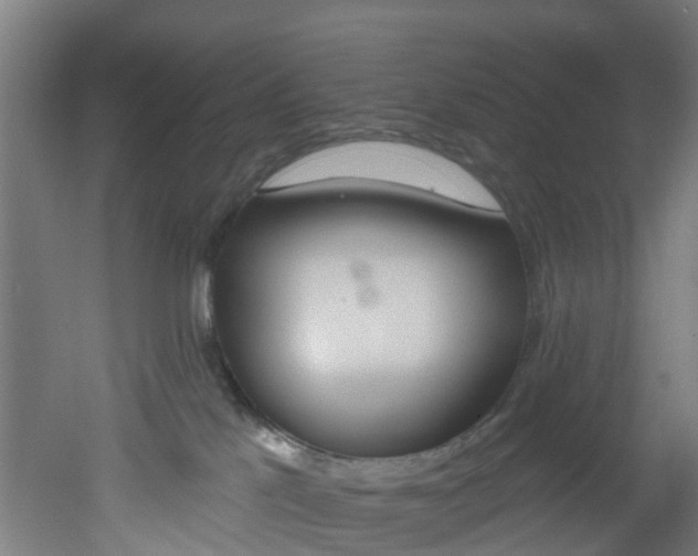 X0000051920041200506241141