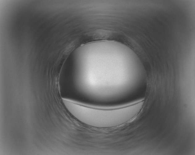 X0000051920045200506241141