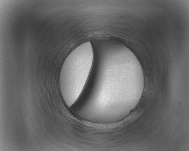 X0000051920048200506241141