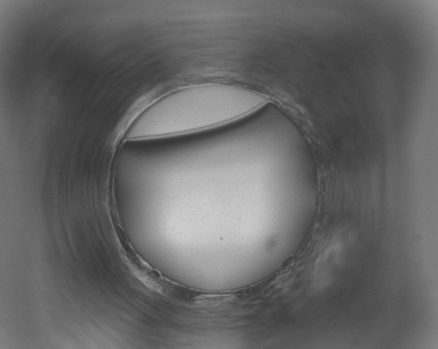 X0000051920051200506241140