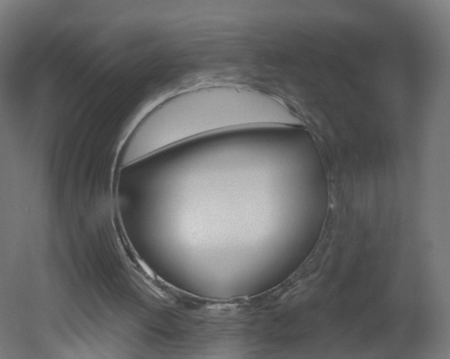 X0000051920052200506241140