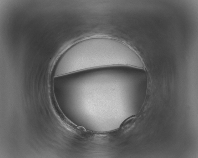 X0000051920055200506241140
