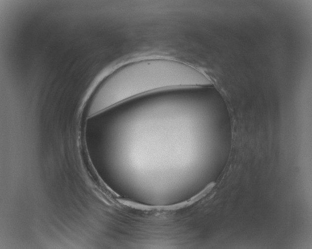 X0000051920056200506241140