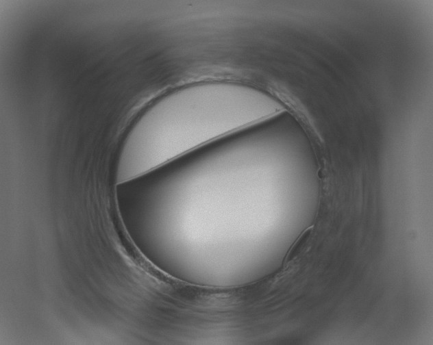 X0000051920058200506241140