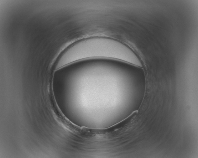 X0000051920060200506241140