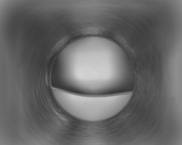X0000051920068200506241140