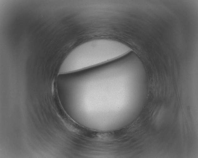 X0000051920070200506241140