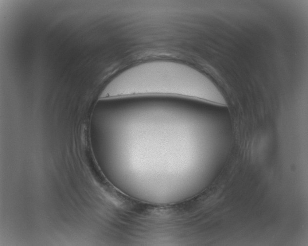 X0000051920071200506241140