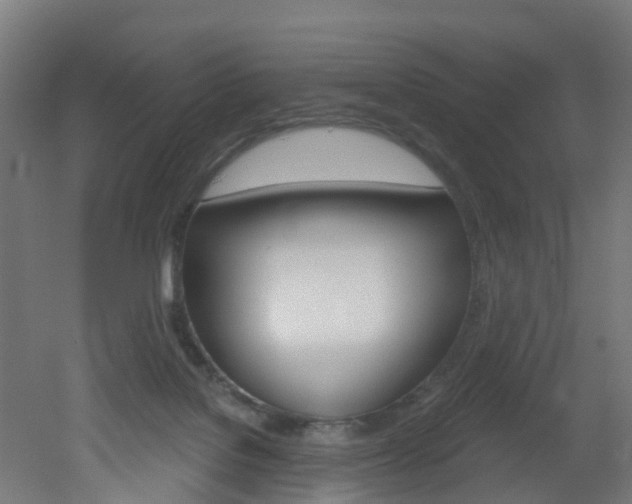 X0000051920076200506241140