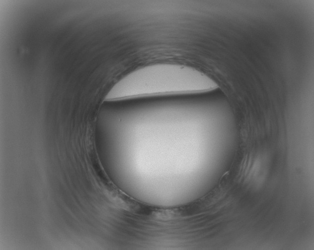 X0000051920079200506241140