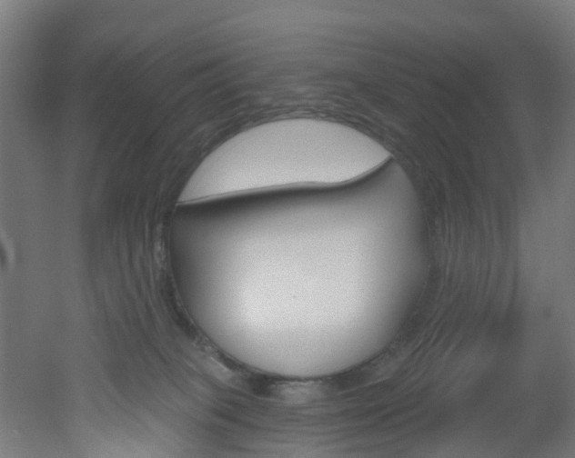 X0000051920085200506241140