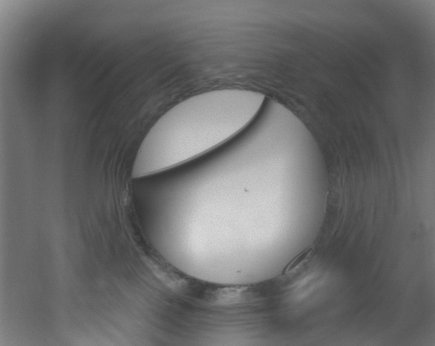 X0000051920090200506241141